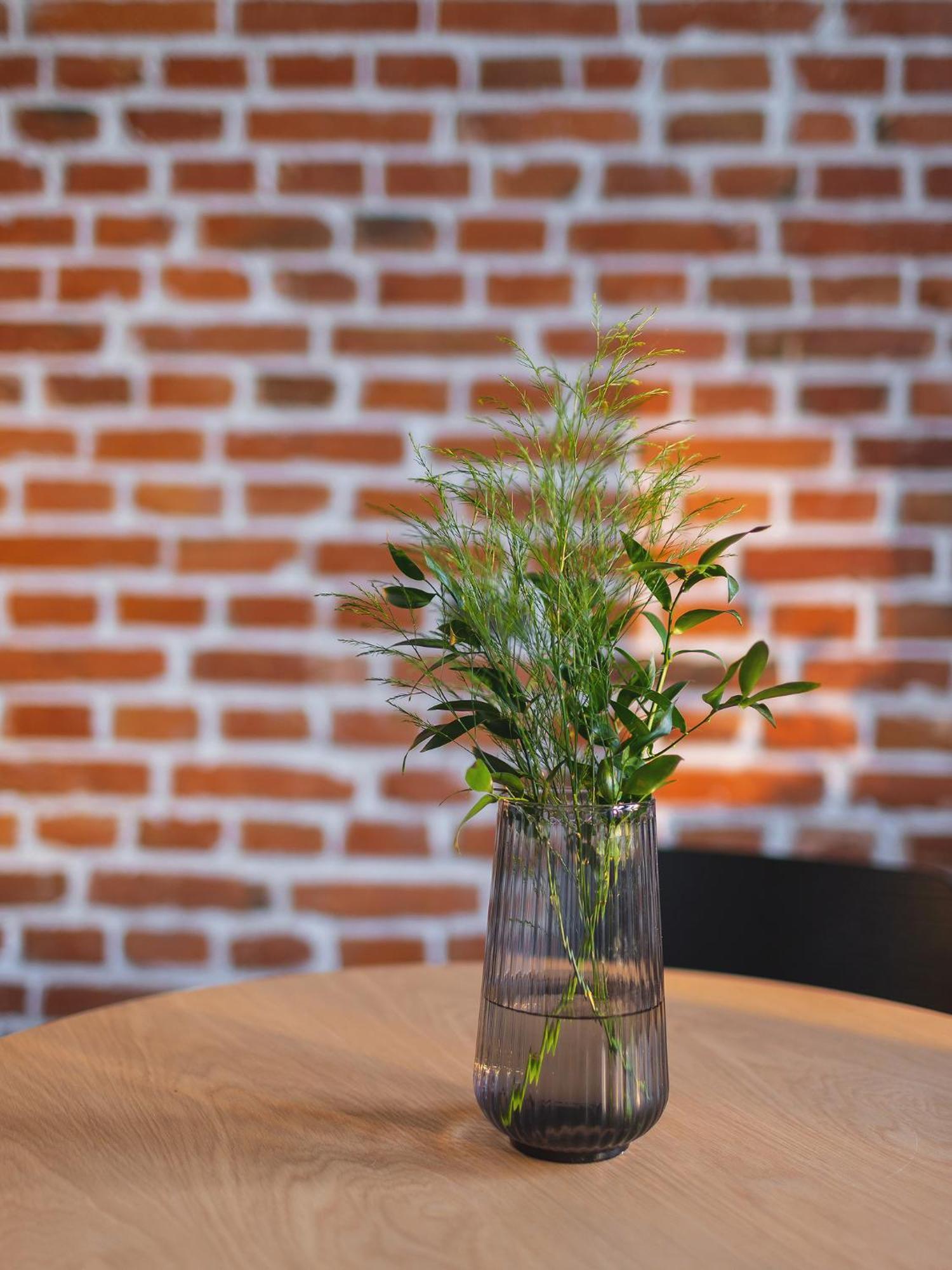 Appartement Center - Radziwillowska 27 *